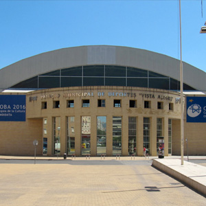 Palacio Municipal de Deportes de Vista Alegre