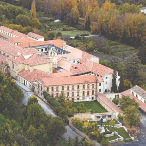 IE University