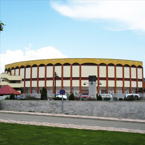 Plaza de Toros de San Martín de Valdeiglesias
