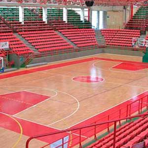 Pabellón Municipal Vicente Trueba