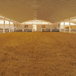 Evenhorse Torreluna